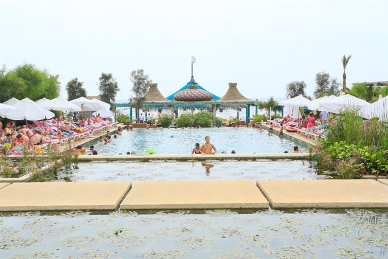 Edde Sands on Sunday